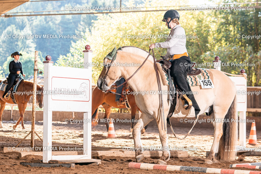 Erbach Tag 2-82 | dv-media-shop - Realisiert mit Pictrs.com