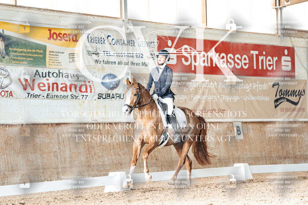 CK903035 | Turnierfotografie Pferdefotografie Trier Rheinland-Pfalz Pferdesport Reitsport Tierfotografie Sportfotografie Pferdevideo Pferdevideografie Equestrianvideography equestrianphotography  - Realisiert mit Pictrs.com