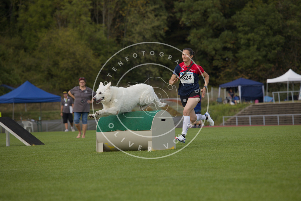 0L8A4136 | Hundefotografie, Tierfotograf, Pfotenfotografie, Fotoshooting Hund, Hunde Portrait, Hundesport, Hundeportraits, Heideshooting, Hunde, Sportfotograf, Hundefotograf, Turnierhundsport, THS,  - Realisiert mit Pictrs.com