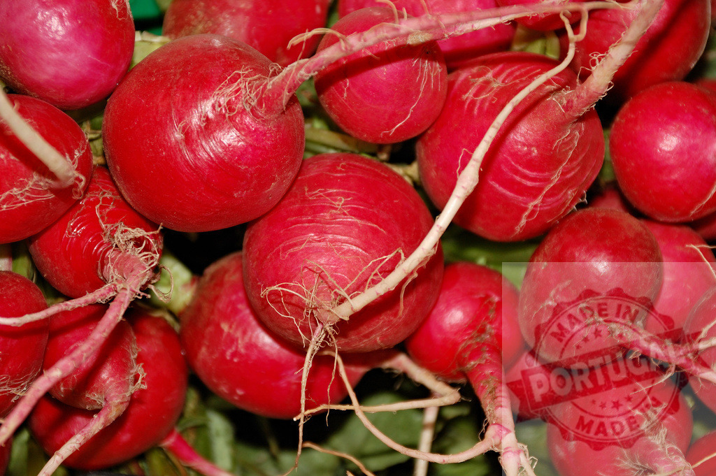 Fresh red radishes with roots, healthy whole food | Red radishes close-up, showing fresh root vegetables with natural texture - Realized with Pictrs.com