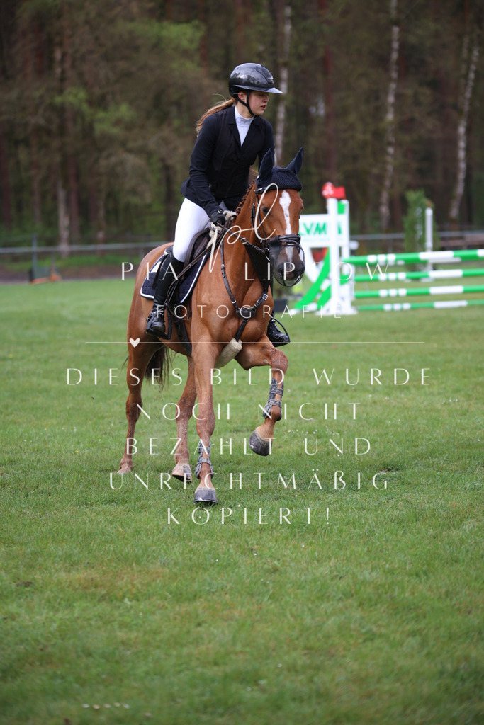 IMGT2736 | pl-fotografie