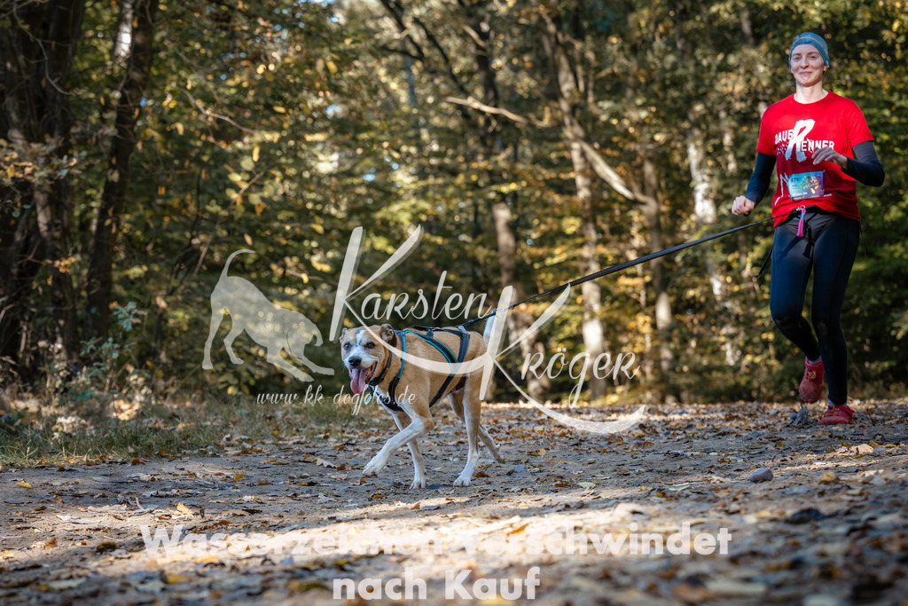 1132_ZZ92708 | kk-dogfotos