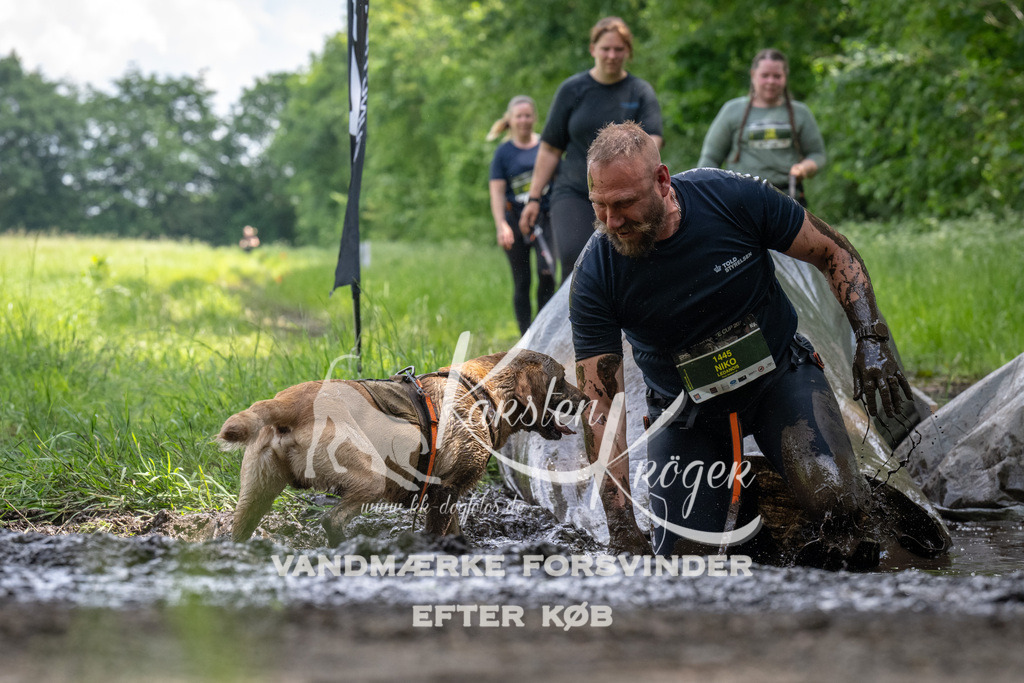 1241_ZZ93057 | kk-dogfotos