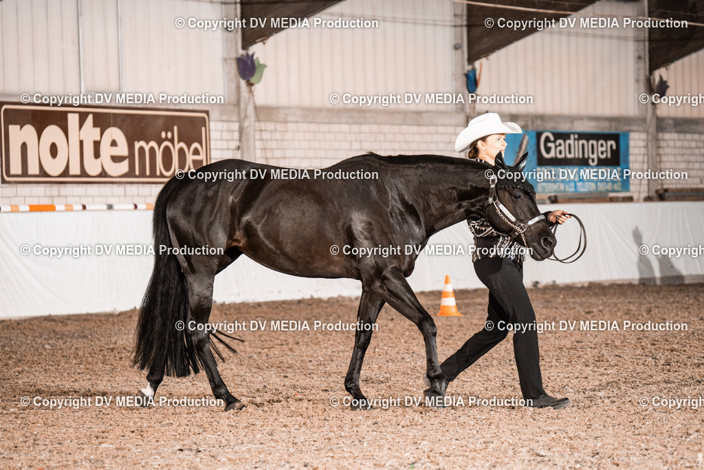 ZH200178 | dv-media-shop - Realisiert mit Pictrs.com