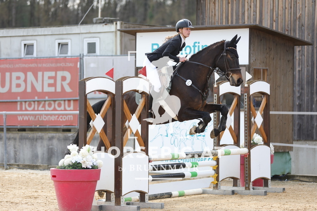 0P6A7081 | Willkommen bei Brunnmayr - Design & Fotografie – Ihrem Spezialisten für Reitturniere und Pferdeveranstaltungen in Oberösterreich, Salzburg und Bayern! Seit über 17 Jahren sind wir leidenschaftlich dabei.