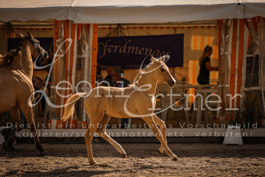 10.DoRP00196 | Leoni Ertmer Photography - Realisiert mit Pictrs.com