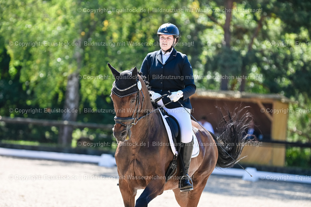 20230908_06_Dressur-L-Trense_0534 | equistock