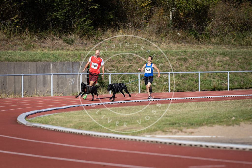 Pfotenfotografie_DV3A9364 | Hundefotografie, Tierfotograf, Pfotenfotografie, Fotoshooting Hund, Hunde Portrait, Hundesport, Hundeportraits, Heideshooting, Hunde, Sportfotograf, Hundefotograf, Turnierhundsport, THS,  - Realisiert mit Pictrs.com