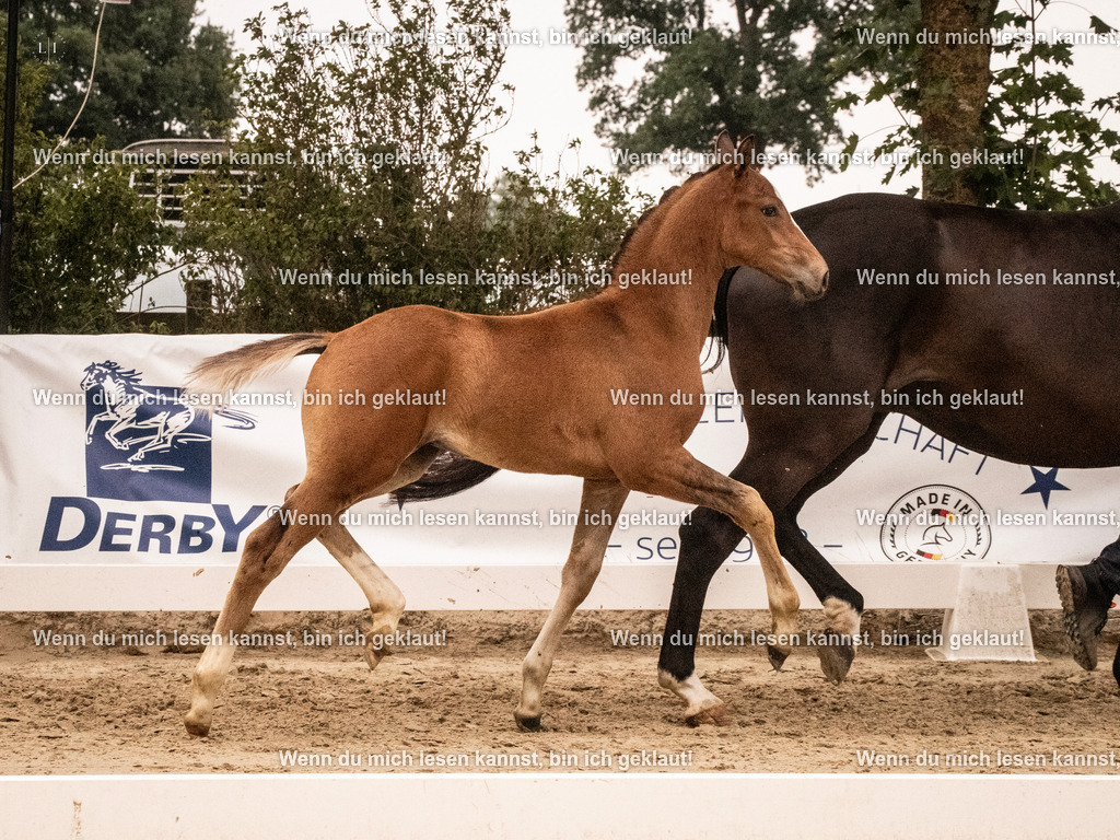 A10I1379 | photographylinaismer - Realisiert mit Pictrs.com