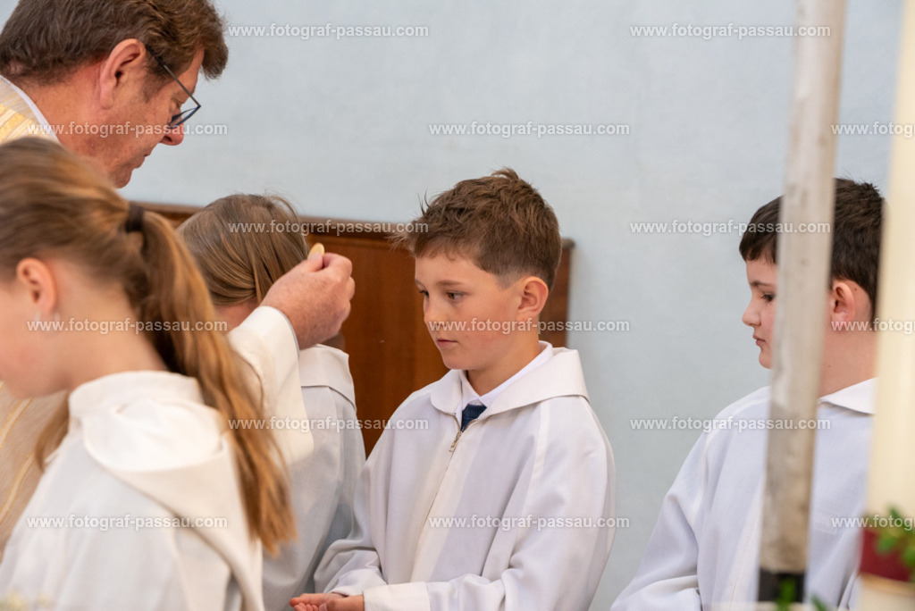 _DSC2737 | Hier finden Sie die Online Foto-Galerie von fotograf-passau.com und marius-handrugan.de. Suchen Sie sich direkt Ihre Lieblingsbilder aus, ob als Ausdruck oder Download. - Realisiert mit Pictrs.com