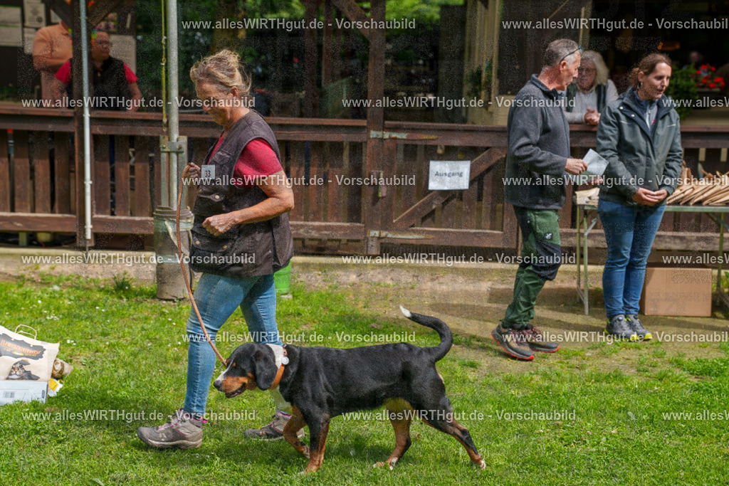 @allesWIRTHgut_Tierfotografie - www.allesWIRTHgut.de - 7R506043 | Professionelle Tierfotografie in Mönchengladbach von Daniel Wirth (allesWIRTHgut). Liebevolle & natürliche Bilder von Hunden & Katzen für unvergessliche Erinnerungen.