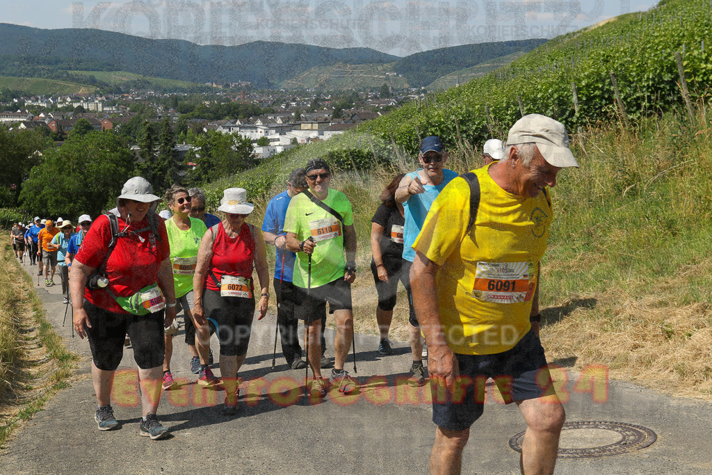 230617_1110_EV9_7790 | Sportfotografie im Rhein-Sieg Kreis, Köln, Bonn, NRW, Rheinland Pfalz, Hessen, etc. Unser Tätigkeitsfeld umfasst den Laufsport vom Volkslauf über den Marathon, Duathlon, Triathon bis zum Ultralauf wie Kölnpfad Ultra oder Schindertrail.