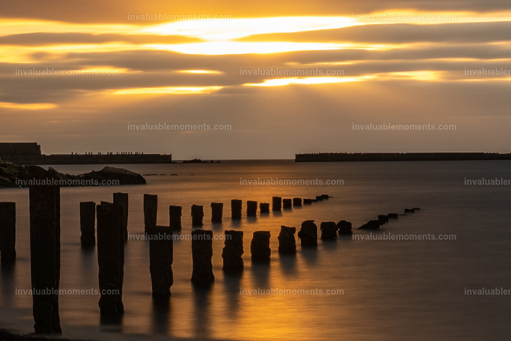 DSC_6852 | invaluablemoments.com - Realisiert mit Pictrs.com