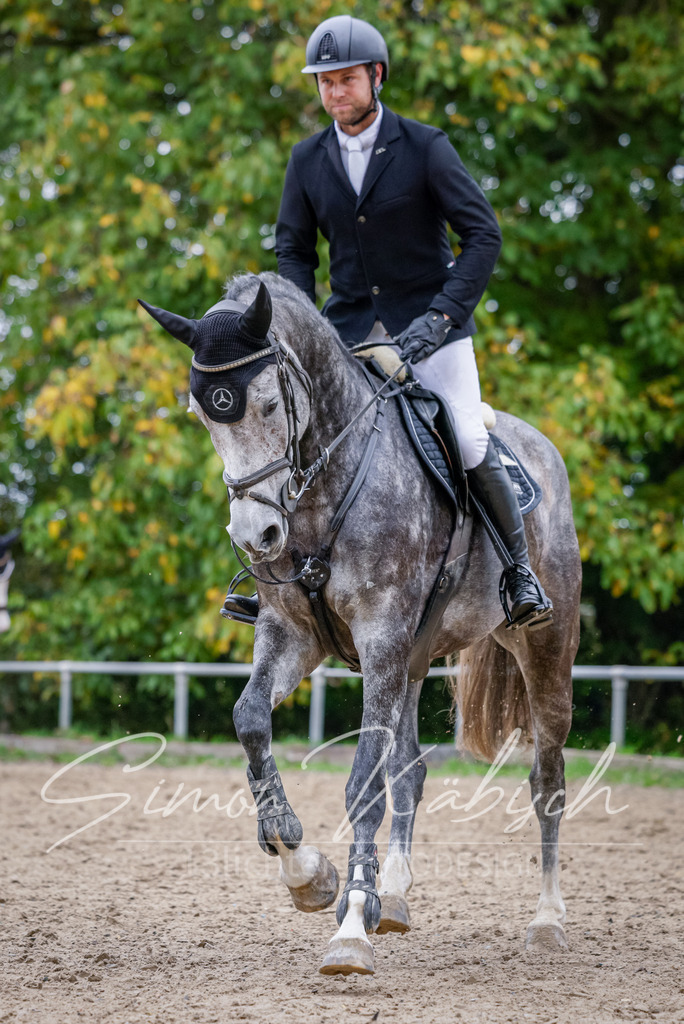 20251012-_3LI4289 | Tierfotografie Pferde, Hunde, Katzen, Haustiere.
Turnierfotografie Reitturniere, Reiten, Springreiten, Dressur in Hanau, dem Main-Kinzig-Kreis und dem Rhein-Main- Gebiet um Frankfurt