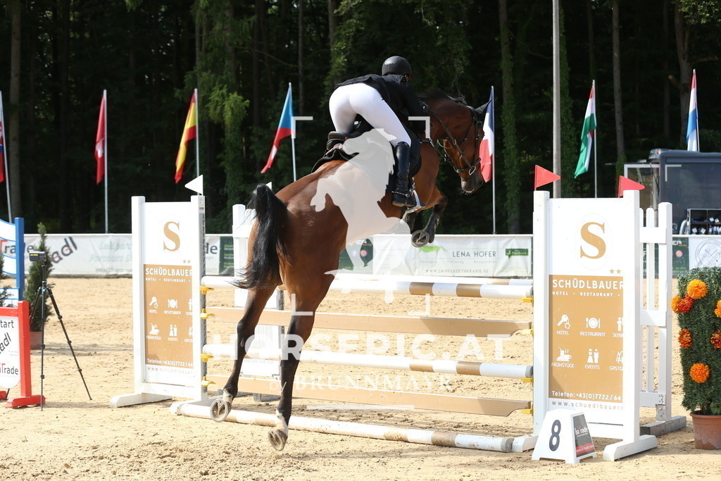 DL2Q0948 | Willkommen bei Brunnmayr - Design & Fotografie – Ihrem Spezialisten für Reitturniere und Pferdeveranstaltungen in Oberösterreich, Salzburg und Bayern! Seit über 17 Jahren sind wir leidenschaftlich dabei.