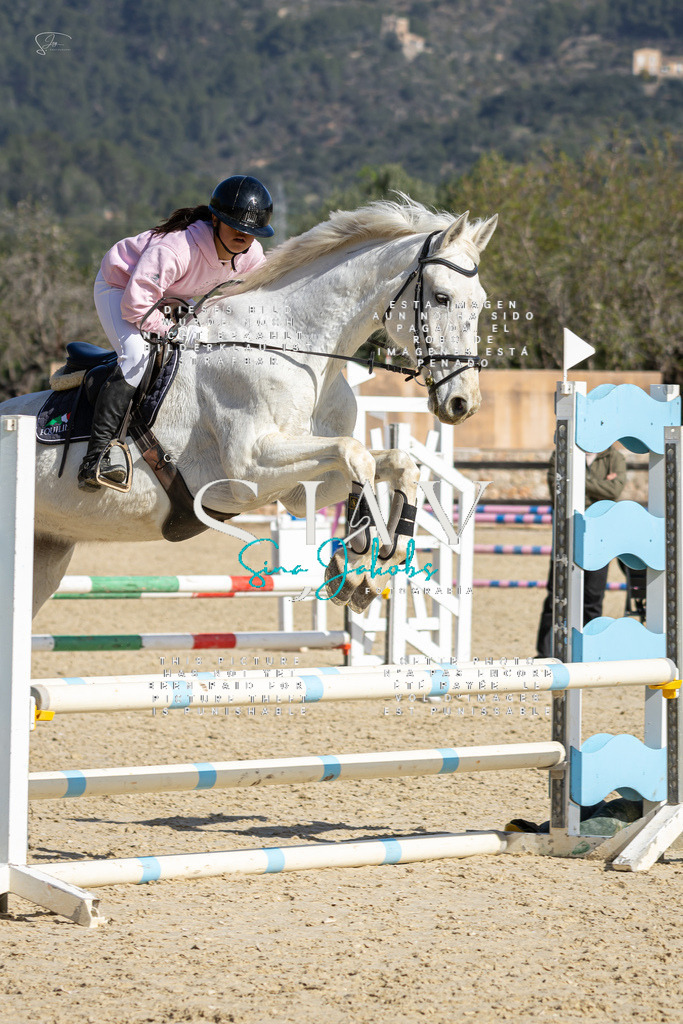 IMG_6213 | s-jay-photography - Realisiert mit Pictrs.com