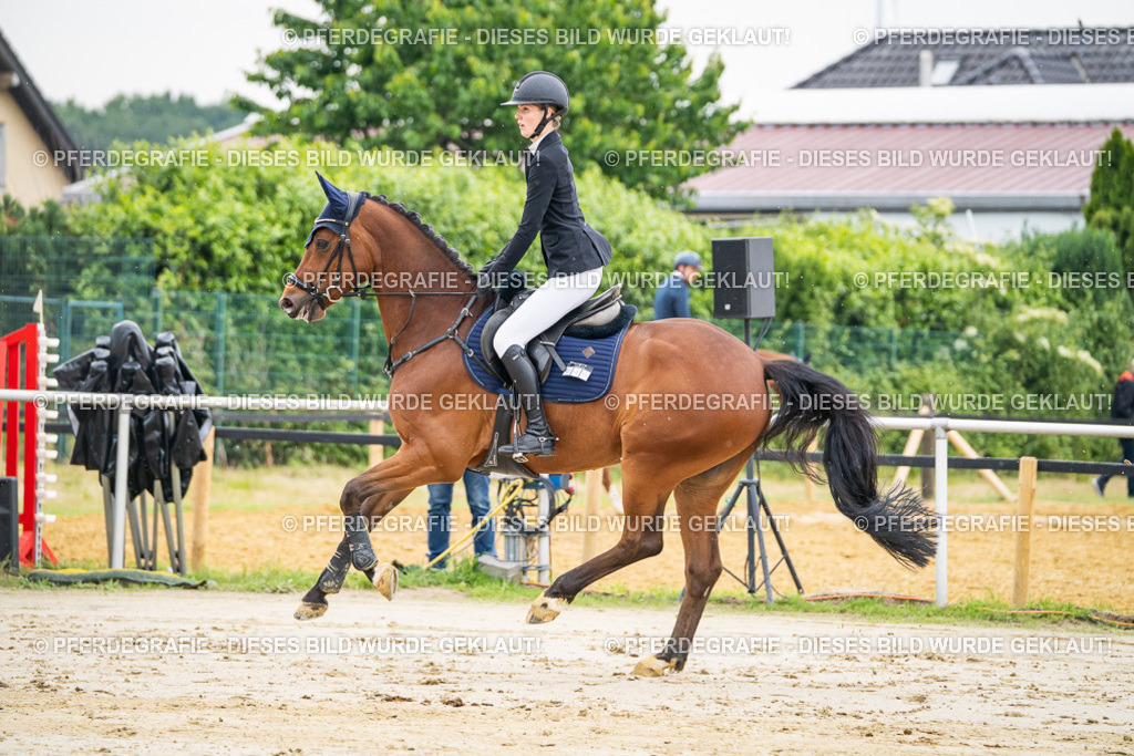 DSC09629 | Pferdegrafie