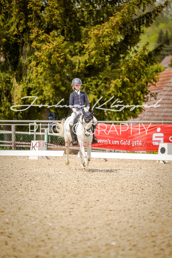 DSC01899 | Joshua Klöppel Photography