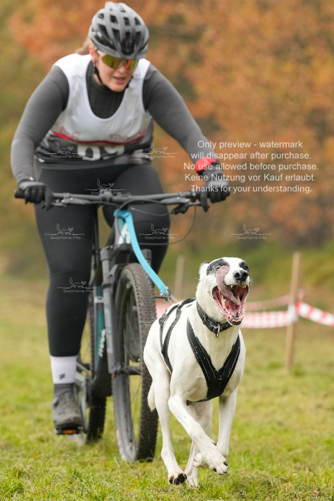 AusschnitteSa-122 | stephaniefillaphotographie - Realisiert mit Pictrs.com