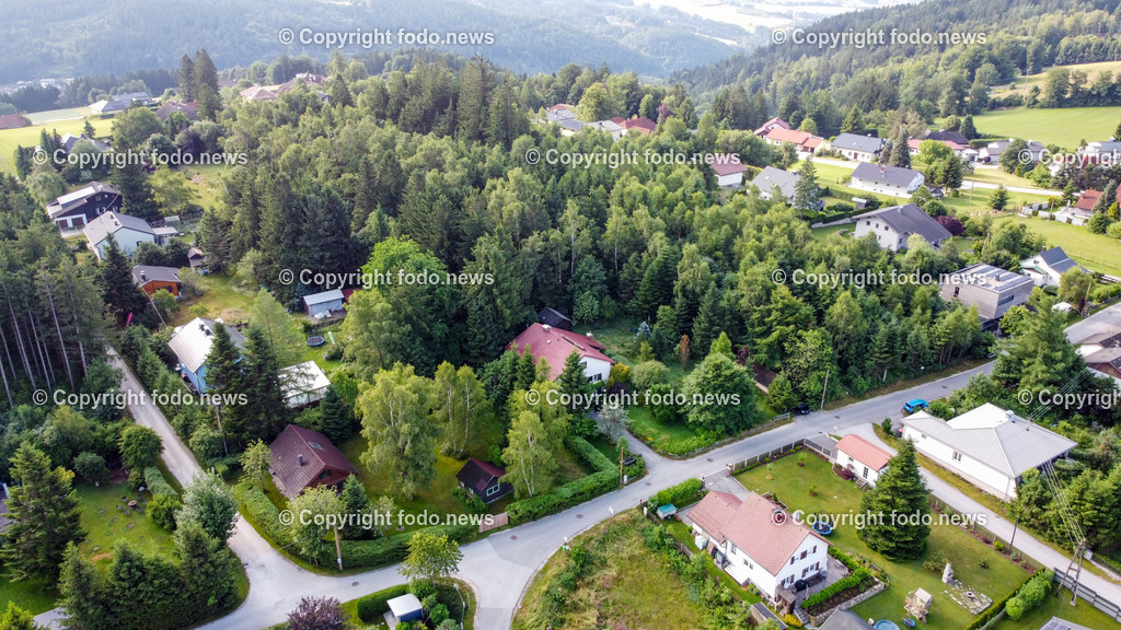 Kirchschlag_ 06.07.2023-7 | 06.07.2023, Kirchschlag, AUT, Kirchschlag, im Bild Waldstueck zwischen Birkenweg und Waldweg