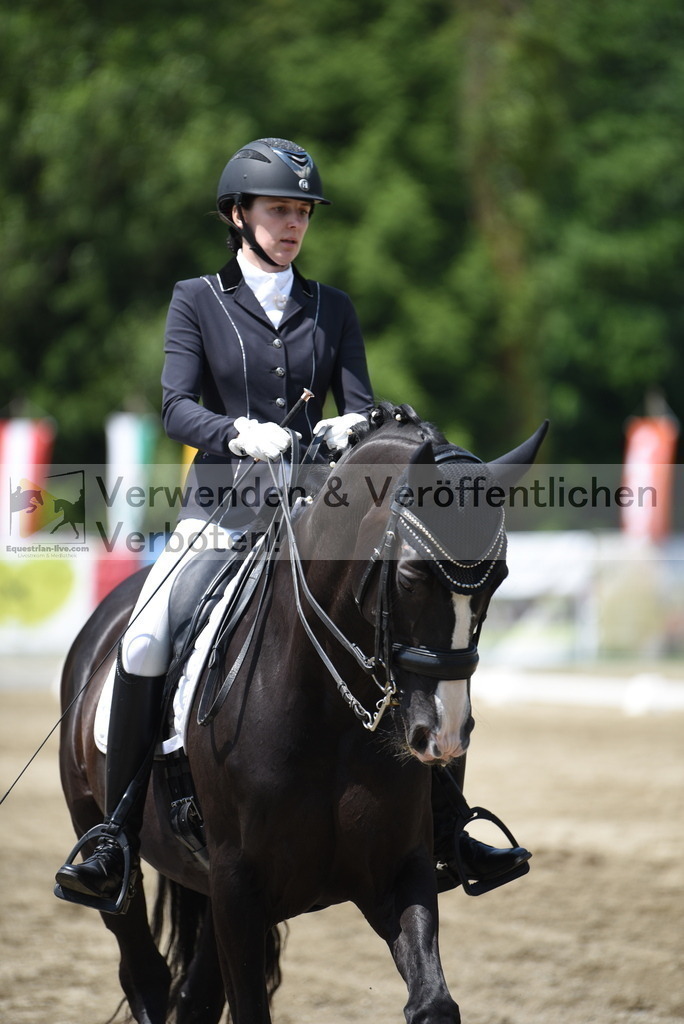 DSC_9005 | equestrian-live-com