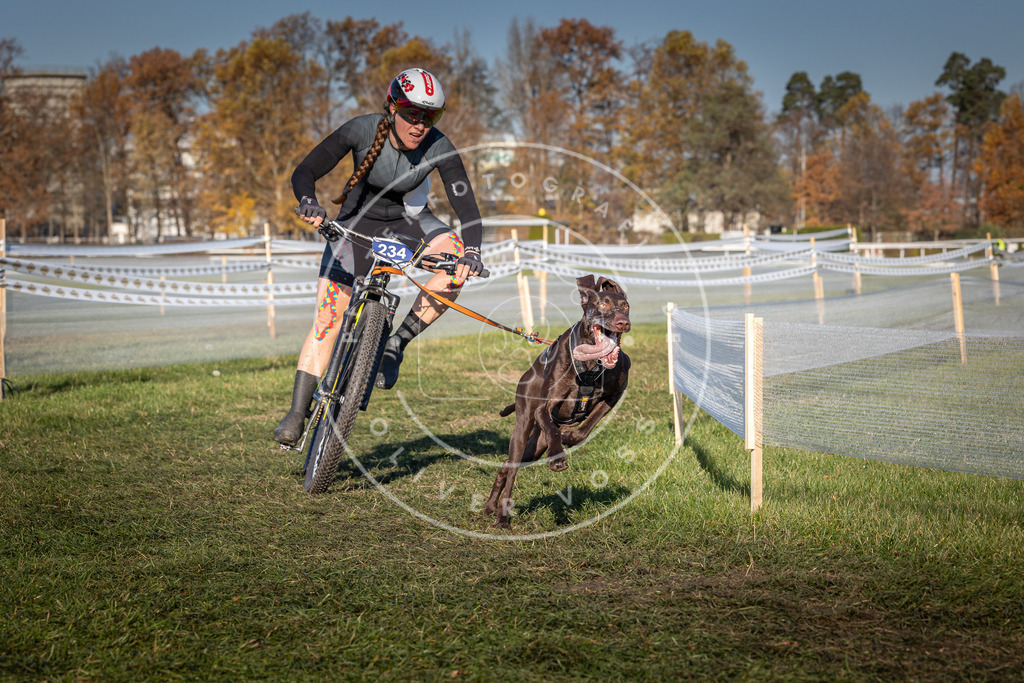 CaniXpix_0L8A4771 | Hundefotografie, Tierfotograf, Pfotenfotografie, Fotoshooting Hund, Hunde Portrait, Hundesport, Hundeportraits, Heideshooting, Hunde, Sportfotograf, Hundefotograf, Turnierhundsport, THS,  - Realisiert mit Pictrs.com
