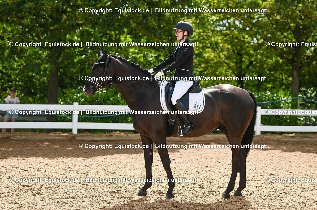 20230715_07_Dressurpferdeprfg. Kl.L_0169 | equistock