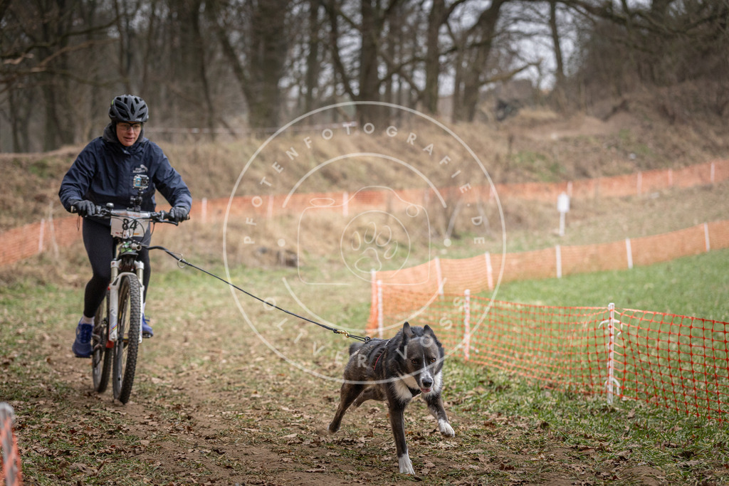Pfotenfotografie_DV3A5740 | Hundefotografie, Tierfotograf, Pfotenfotografie, Fotoshooting Hund, Hunde Portrait, Hundesport, Hundeportraits, Heideshooting, Hunde, Sportfotograf, Hundefotograf, Turnierhundsport, THS,  - Realisiert mit Pictrs.com