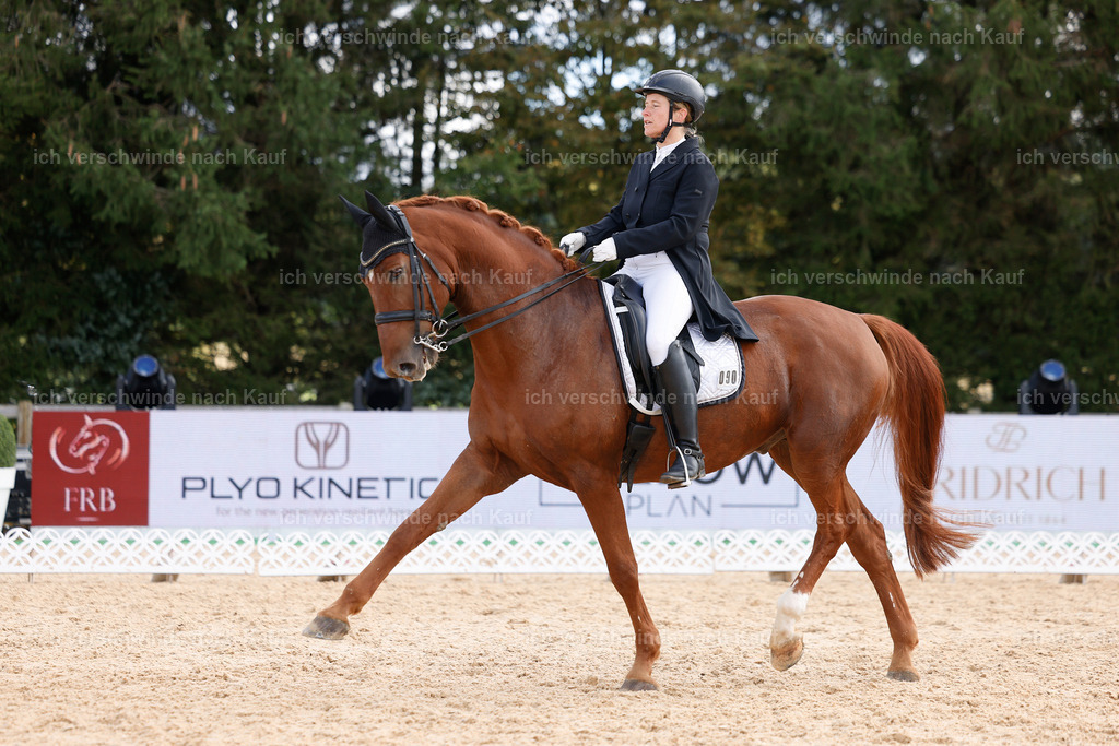 09_2-090-DRESSUR  S_  -StoibPH-5841 | working equitationturnier fotograf videograf stoibphotography marixx film working equitation deutschland reitsport turnierfotografie eventfotografie equestrian events