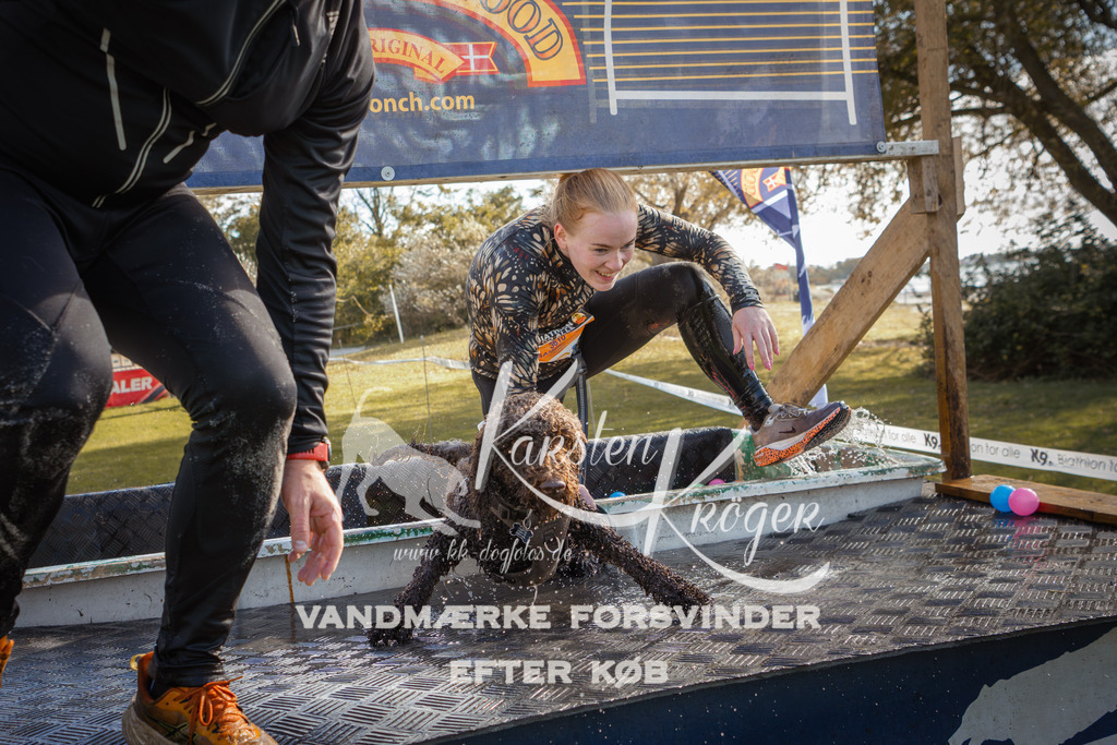 1316_ZZ99907-2 | kk-dogfotos