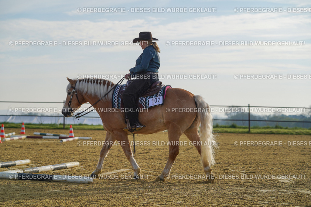 DSC00318 | Pferdegrafie