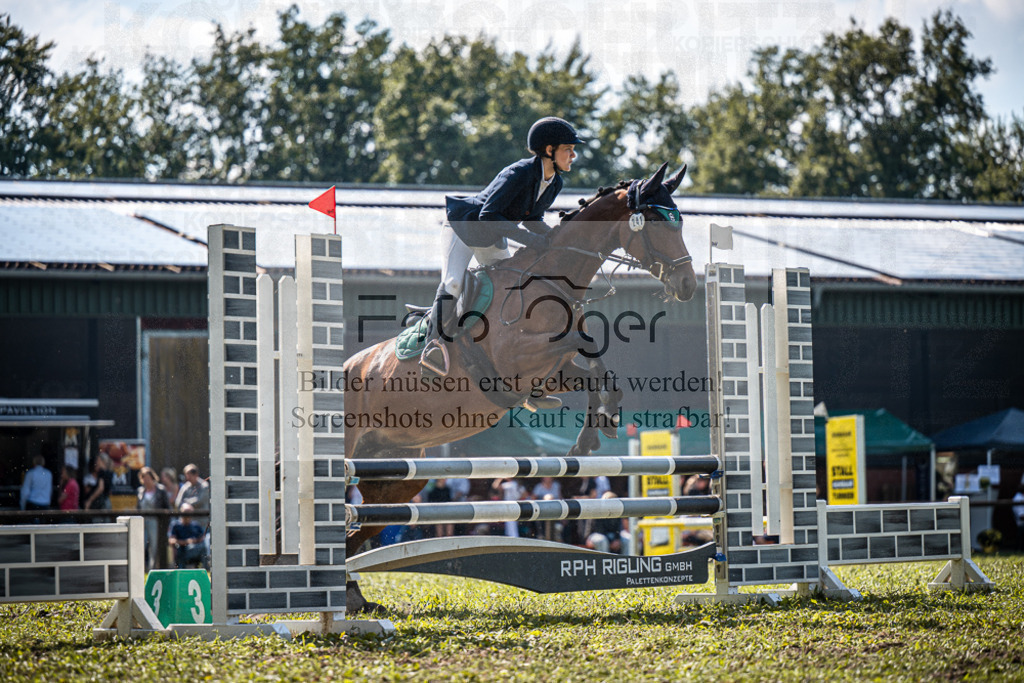 Z63_0180 | Entdecke hochwertige Reitturnierfotos von Foto Oger. Professionell, emotional und authentisch – jetzt Lieblingsmomente im Shop bestellen.Deutschlandweite Turnierfotografie. - Realisiert mit Pictrs.com