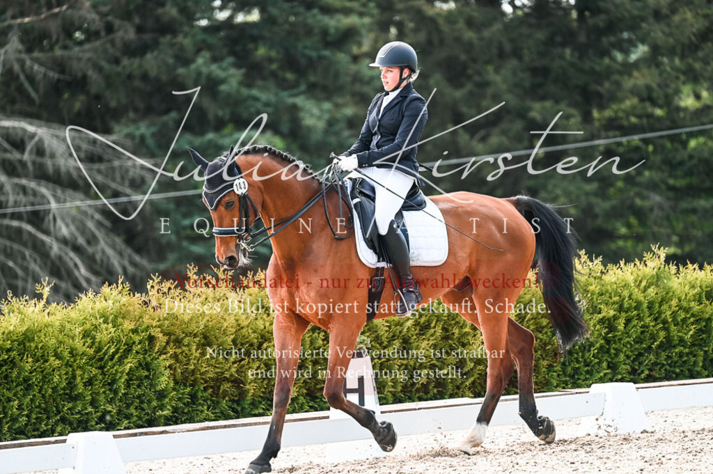 20230513_JK-Röhrsdorf-10-0574 | Pferde- und Turnierfotografie in Westsachsen. Pferdeportraits, Auftragszeichnungen und intuitive Kunst.