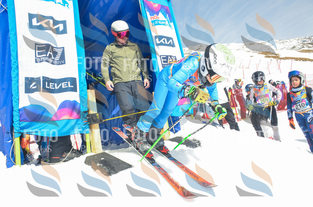 _ELE6580 | holidayphoto