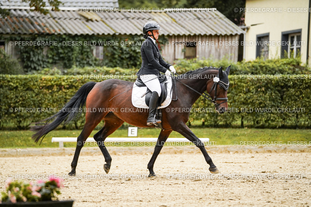 DSC07072 | Pferdegrafie