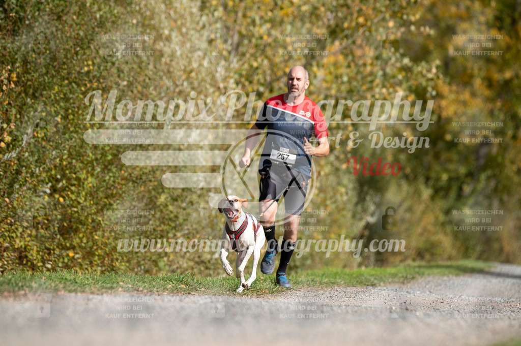 TSB_2023_E2_Canicross-89 | mompixphotography