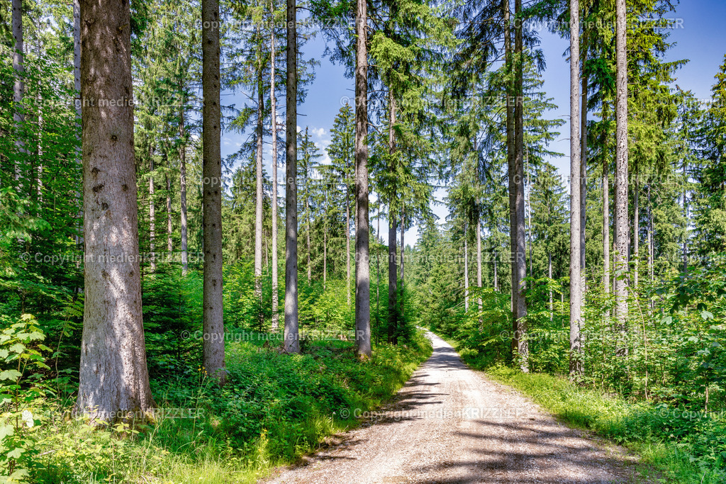 _J3A1297 | medienkrizzler - Realisiert mit Pictrs.com