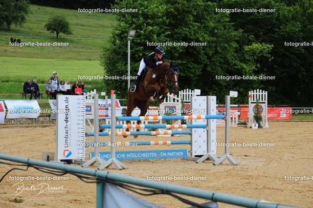 OHT0081 | Fotografie, Tiere, Hunde, Katzen, Pferde, Sportfotografie, Fotosession, Tierfotografie, Turnierfotografie, Fotografin, Fotograf - Realisiert mit Pictrs.com