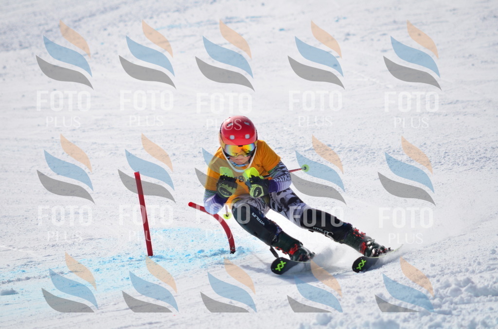 C9896 | holidayphoto