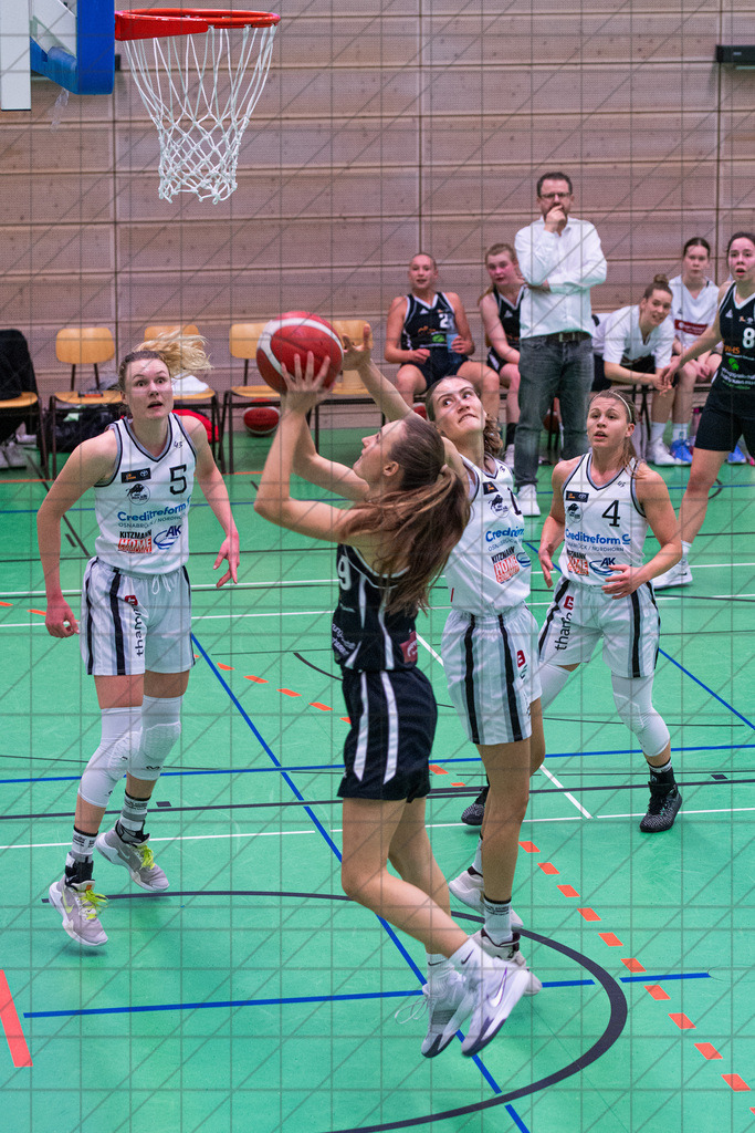 2. DBBL Nord 24/25 | 22.12.2024 | BBC OS vs. Metropol Ladies Herne/Recklinghausen | 2. DBBL Nord 24/25 | 22.12.2024 | BBC OS vs. Metropol Ladies Herne/Recklinghausen - - - - - CREDIT, www.bullenfotos.de, Martin König, Hörner Weg 40, D-49078 Osnabrück, +4917663732967, Nutzung und Weitergabe nur zu den vereinbarten Zwecken. Presseanfragen an Urheber. Alle Rechte beim Urheber. - - - - - - Realisiert mit Pictrs.com