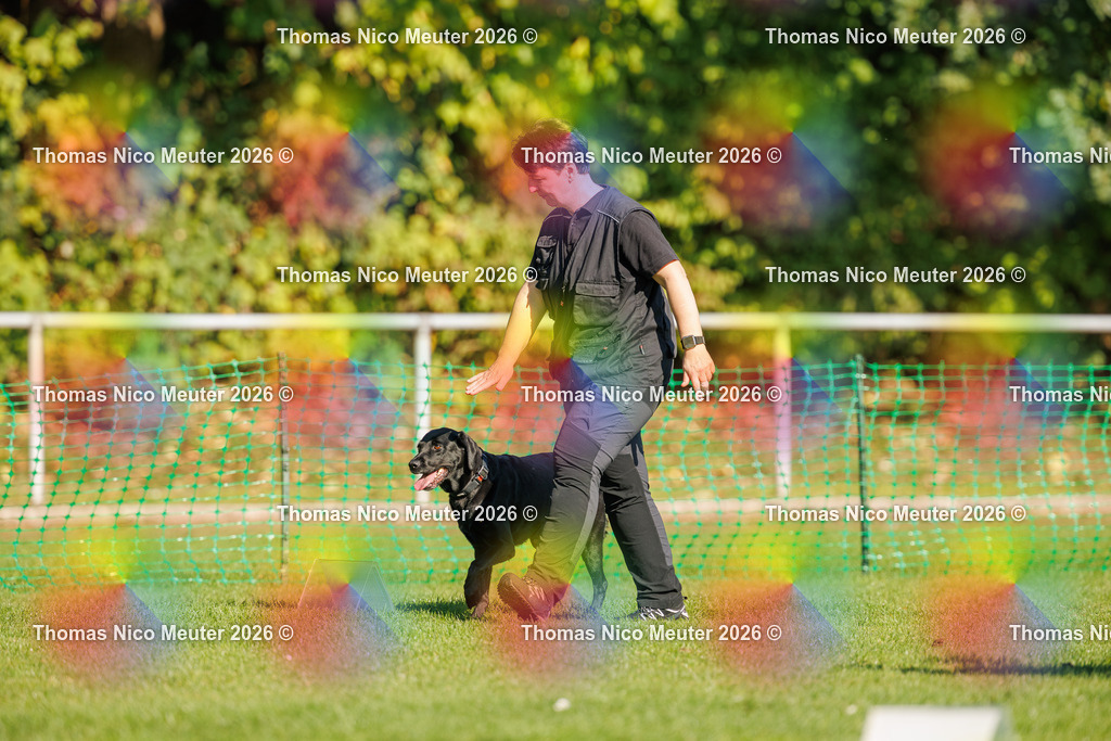 Thomas_Nico_Meuter(C)_04. Oktober 2026_223A1359 | Bild von Thomas Nico Meuter - Realisiert mit Pictrs.com