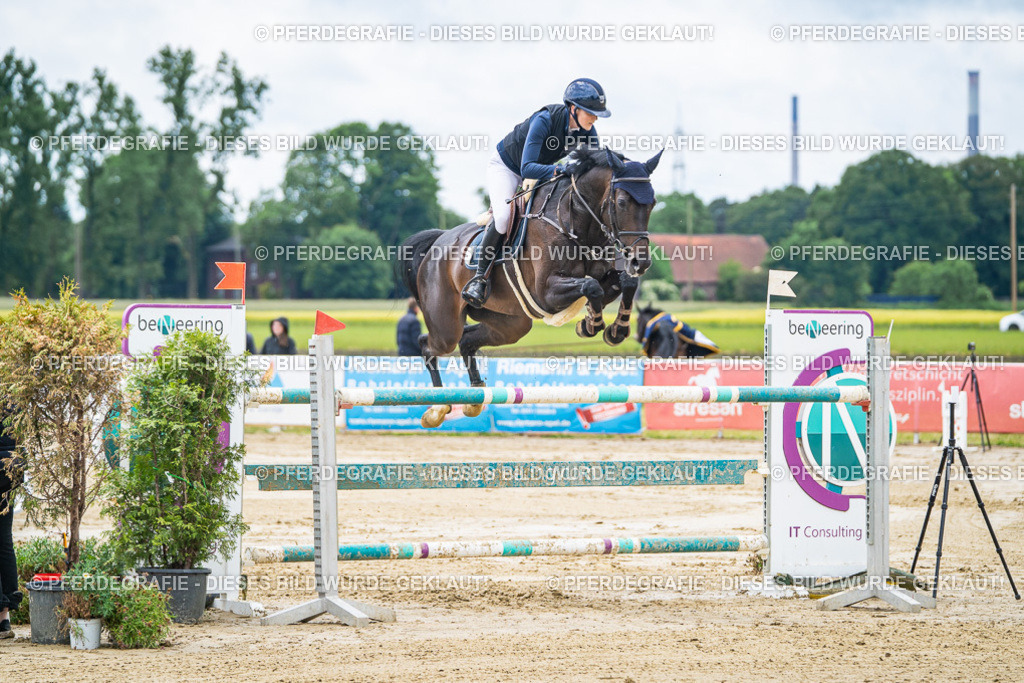 DSC04613 | Pferdegrafie