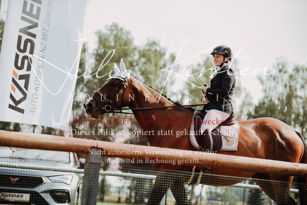 DSC_3584 | Pferde- und Turnierfotografie in Westsachsen. Pferdeportraits, Auftragszeichnungen und intuitive Kunst.