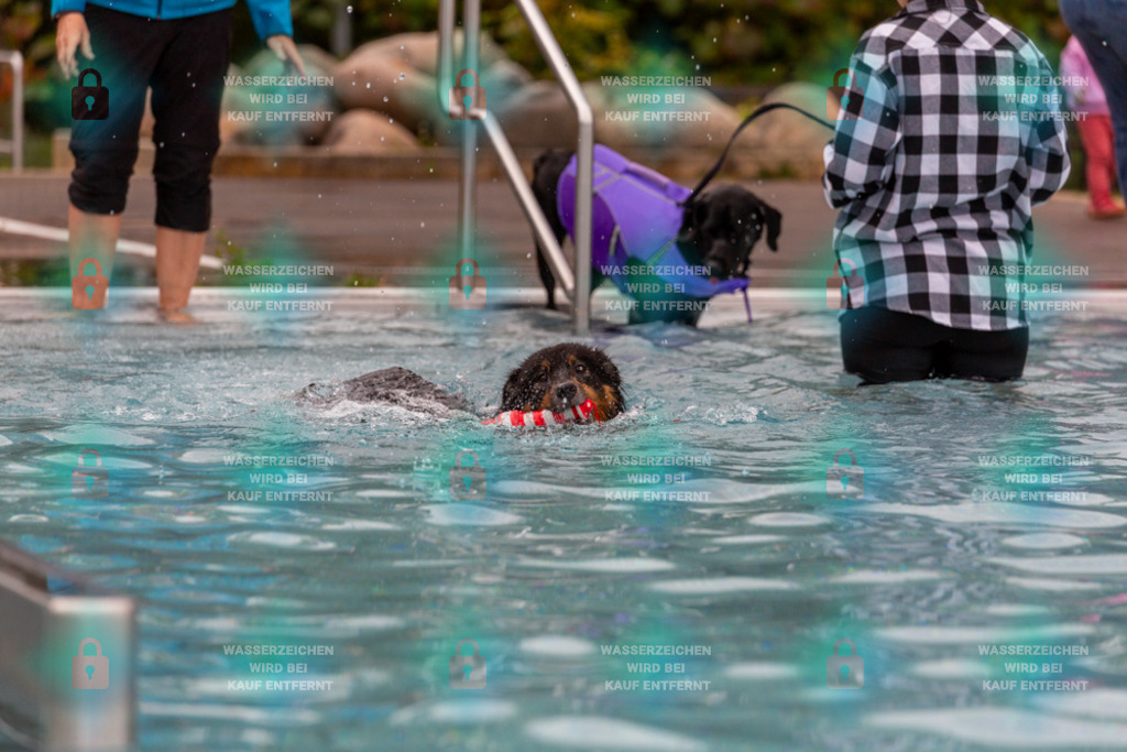 _HP_6289_1000o | HetPix, HetPix Fotodesign, Fotografie, Fotodesign, Webshop, Sportfotografie, Portraitfotografie, Onlineshop, Sportfotografie, Polch, Motorsportfotografie, Eventfotografie