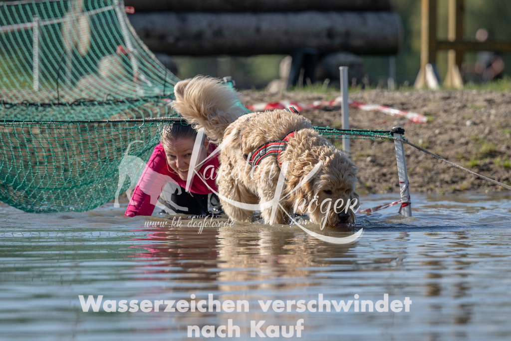 1311_ZZ90140 | kk-dogfotos