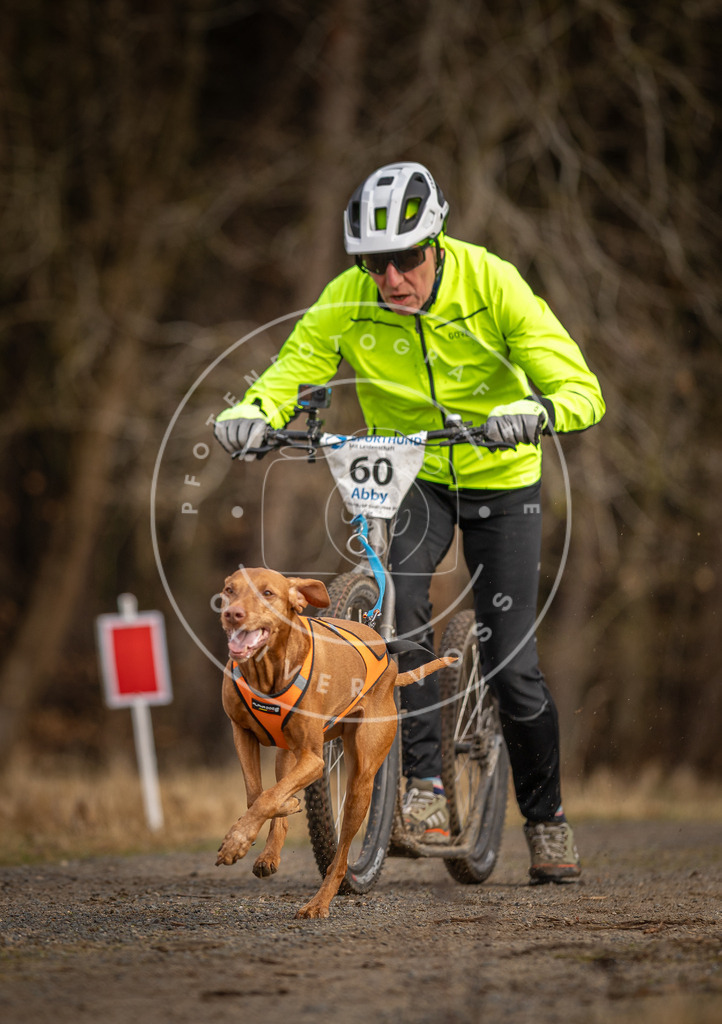 DV3A3523 | Hundefotografie, Tierfotograf, Pfotenfotografie, Fotoshooting Hund, Hunde Portrait, Hundesport, Hundeportraits, Heideshooting, Hunde, Sportfotograf, Hundefotograf, Turnierhundsport, THS,  - Realisiert mit Pictrs.com
