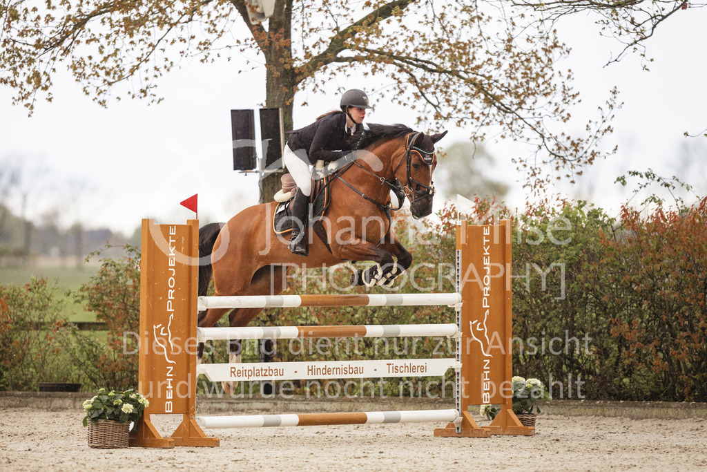 240424_Lemwerder_Stil-M-180 | Deine schönsten Turniermomente als professionelle Fotos! Entdecke hochwertige Pferdesport-Fotografie im Online-Shop. Jetzt Fotos finden & bestellen!