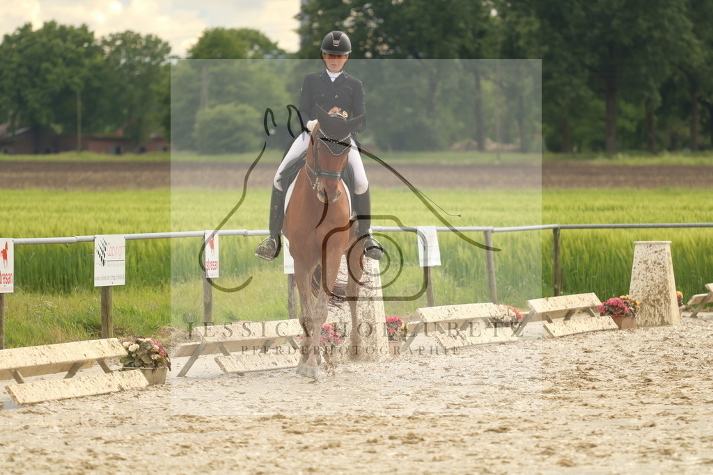 IMG_1207 | jessicahollubetz_pferdephotographie - Realisiert mit Pictrs.com