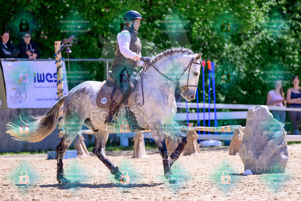 01052026-Giesenbach-02-Stiltrail-0052 | Fokus Hufschlag Fotografie - Realisiert mit Pictrs.com