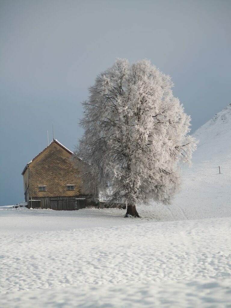 PSX_20221212_233130 | mtkfoto_ - Realisiert mit Pictrs.com